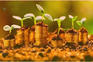 交易异动!顺鑫农业:近3个交易日上涨22.21%补充之处