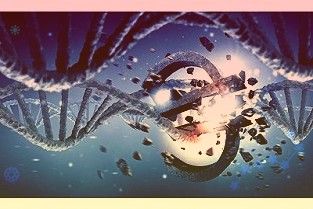 三羊马得益于其小盘流通股等成为重庆今年表现好的新股